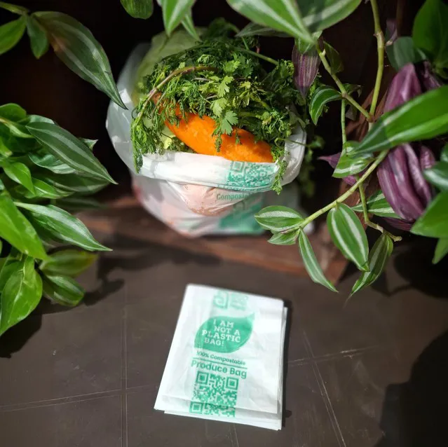 customizable-compostable-shopping-bags (1).jpg