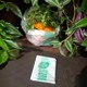 customizable-compostable-shopping-bags.jpg