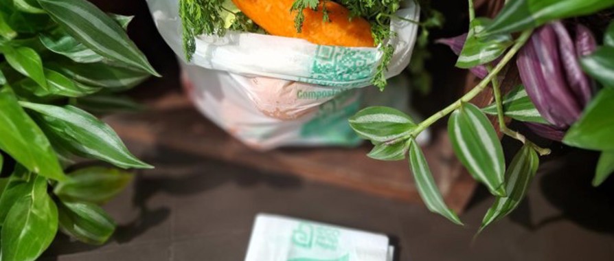 customizable-compostable-shopping-bags.jpg