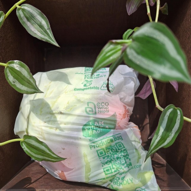 degradable-dustbin-groceyr-plastic-bags.jpg