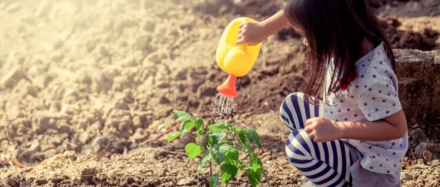 Plastic Facts: Traditional vs. Compostable 4 Fun Facts About Traditional vs. Compostable Bags